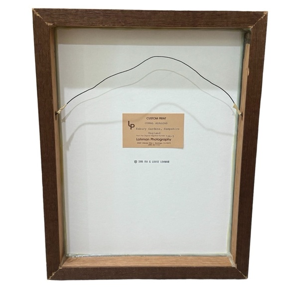 Lohman Photography Coral Azaleas Exbury Gardens Custom Wood Frame Print 12x15 - Picture 5 of 9